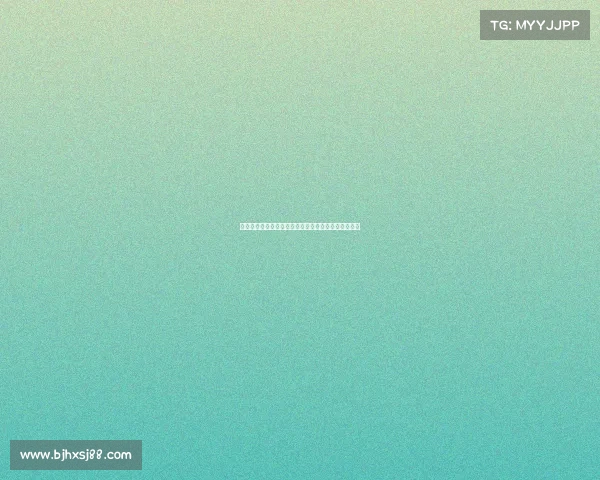 德甲比赛中犯规现象分析与球场纪律对球队表现的影响